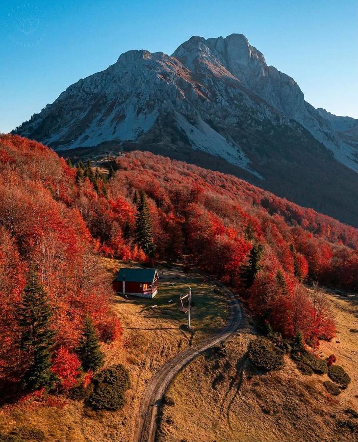 Mountain House Komovi-Radunovic Андриевица Экстерьер фото