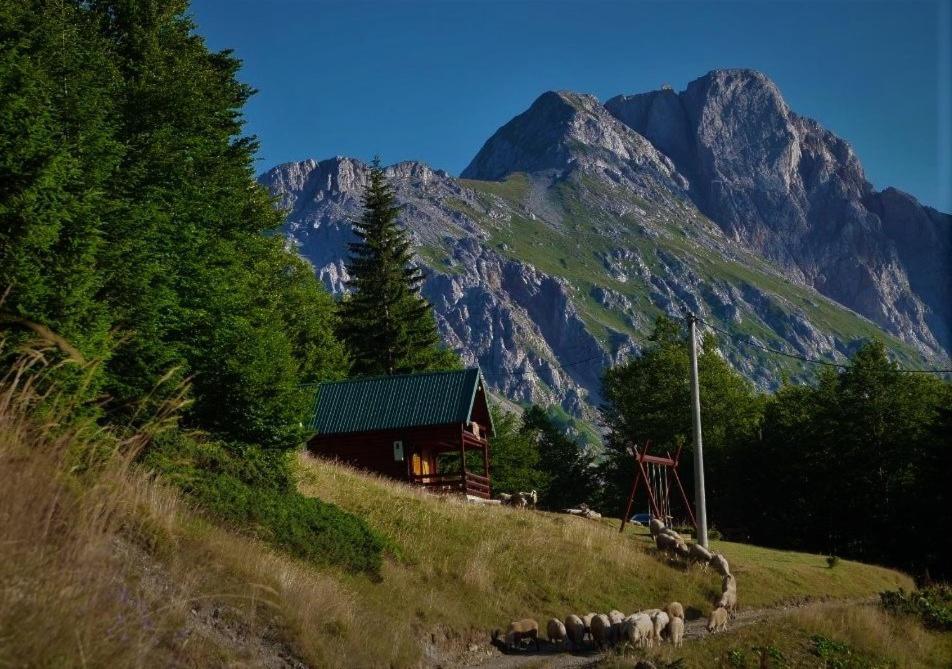 Mountain House Komovi-Radunovic Андриевица Экстерьер фото